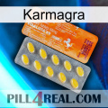 Karmagra new05